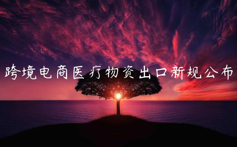 跨境電商醫(yī)療物資出口新規(guī)公布